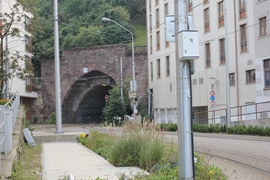 Братислава