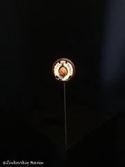 Зеленые своды