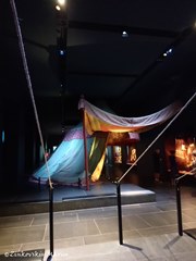 Зеленые своды