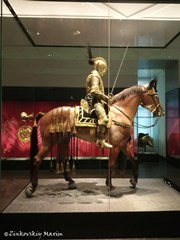 Зеленые своды