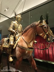 Зеленые своды