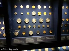 Зеленые своды