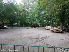 Дрезденский зоопарк