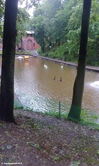 Смоленск. Лопатинский сад