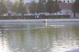 Вена. Бельведер